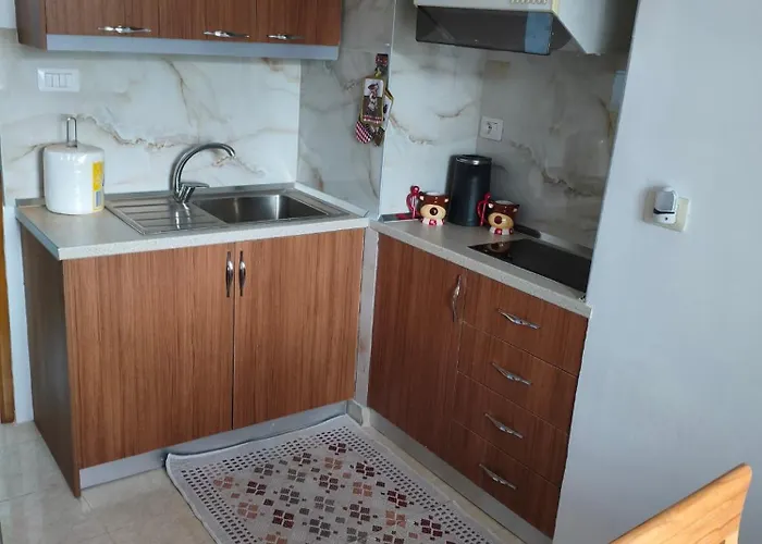 公寓 House In The Old Town With View Gjirokastër